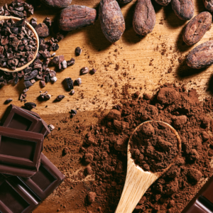 Workshop zum Thema Klimagerechtigkeit und Migration