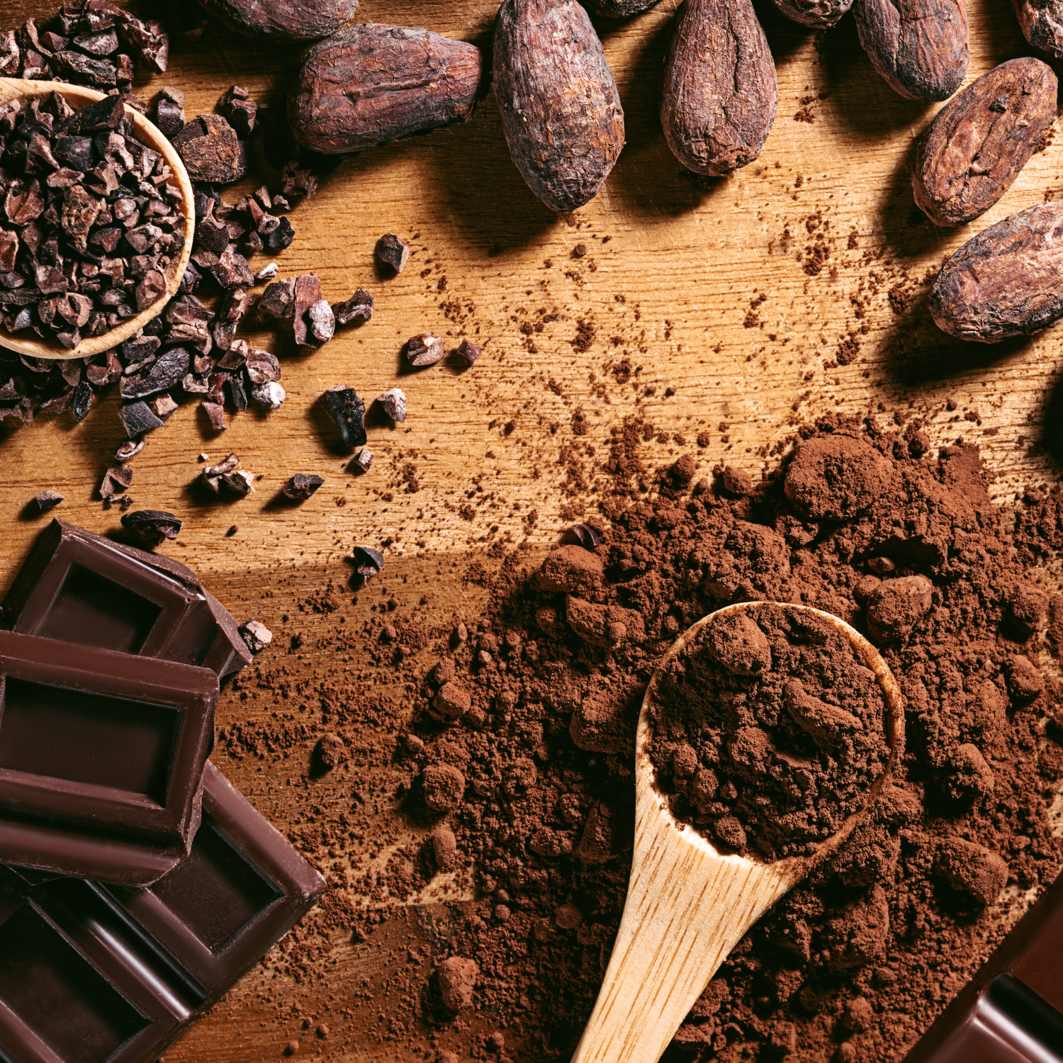 Workshop zum Thema Klimagerechtigkeit und Migration